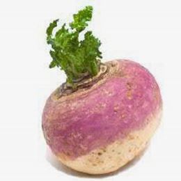 Picture of TURNIP EACH