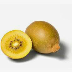 Picture of KIWI-FRUIT GOLD