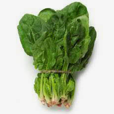 Picture of SPINACH BUNCH