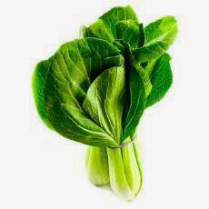 Picture of BOK CHOY EACH