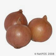 Picture of BROWN ONIONS 1KG
