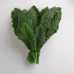 Picture of TUSCAN KALE