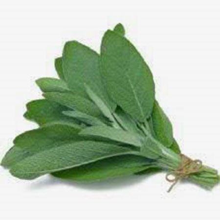 Picture of FRESH SAGE