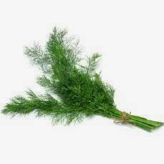 Picture of FRESH DILL