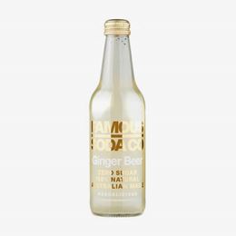 Picture of FAMOUS SODA GINGER BEER 330ML