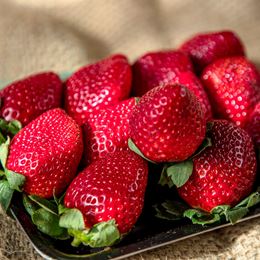 Picture of STRAWBERRIES