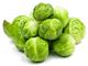 Picture of BRUSSEL SPROUT