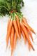 Picture of DUTCH CARROTS BUNCH