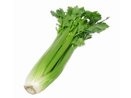 Picture of WHOLE CELERY