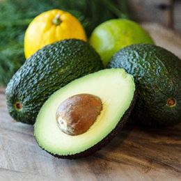 Picture of HASS AVOCADO EACH