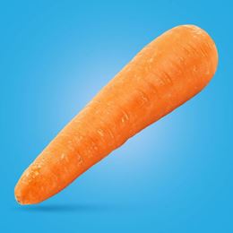 Picture of CARROT EACH