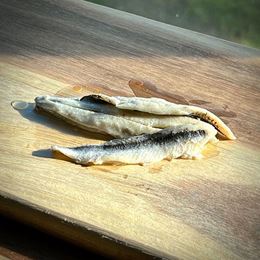 Picture of ANCHOVY WHITE MARINATED