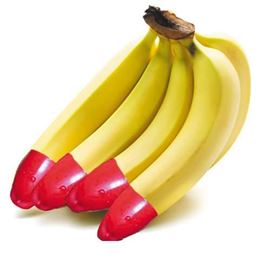 Picture of ORGANIC BANANAS EACH