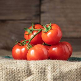 Picture of TRUSS VINE TOMATOES EACH