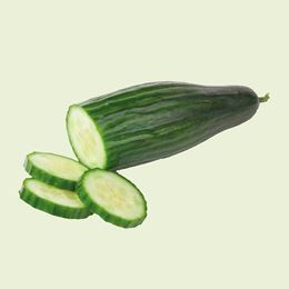 Picture of CONTINENTAL CUCUMBER