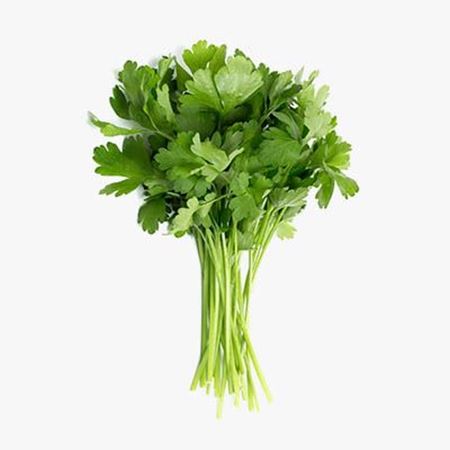 Picture of CONTINENTAL FLAT PARSLEY