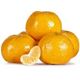 Picture of IMPERIAL MANDARIN