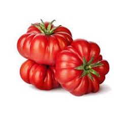 Picture of ADELAIDE TOMATO