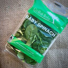 Picture of COOLIBAH BABY SPINACH 100G