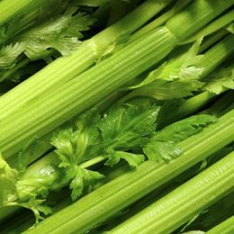 Picture of ORGANIC WHOLE CELERY 
