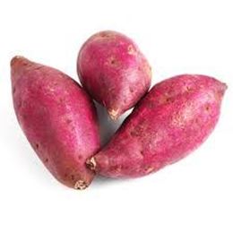 Picture of RED SWEET POTATO 