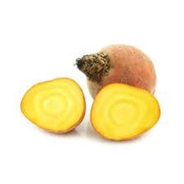 Picture of GOLD BEETROOT 
