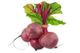 Picture of BEETROOT BUNCH