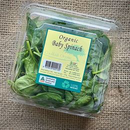 Picture of ORGANIC BABY SPINACH