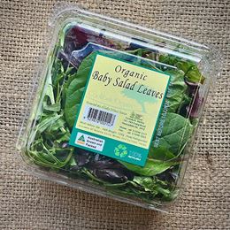 Picture of ORGANIC BABY SALAD MIX