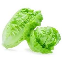 Picture of BABY COS LETTUCE GREEN 2 PACK