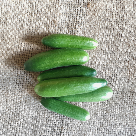 Picture of PREMIUM MINI CUCUMBERS 250G