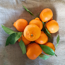 Picture of MANDARIN EASY PEEL