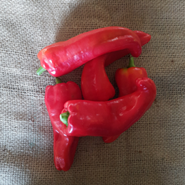 Picture of SWEET BULLHORN PEPPER RED