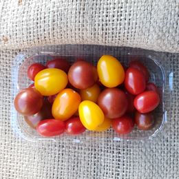 Picture of RAINBOW MEDLEY TOMATOES 250G