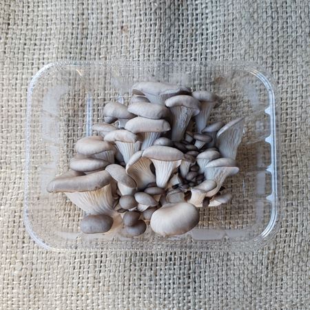 Picture of SHIMEJI MUSHROOMS 150G