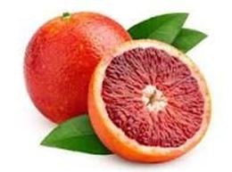Picture of  BLOOD ORANGE EACH