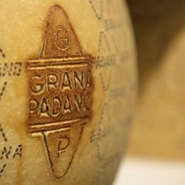 Picture of GRANA PADANO 10-12 MONTHS 