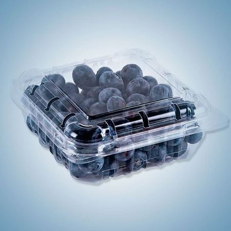 Picture of ORGANIC BLUEBERRIES 125G